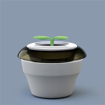 平安草