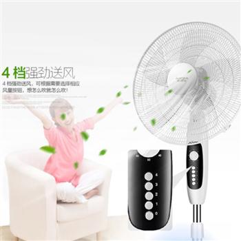澳柯瑪（AUCMA）18寸五葉AS扇葉落地扇/非遙控電風扇/工業(yè)風扇/電扇 FS-45N609